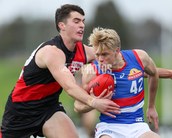 VFL 2025 Round 18 - Essendon v Footscray Bulldogs - A-60761757