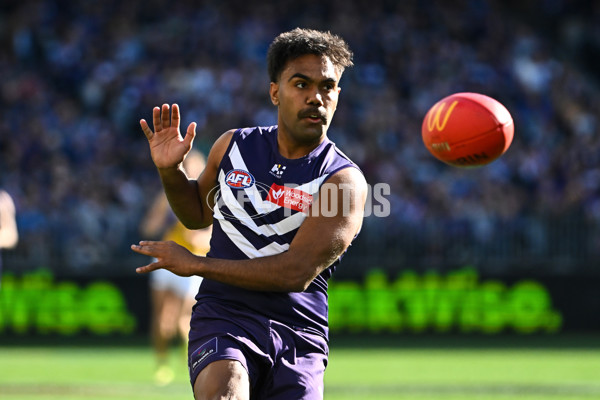 AFL 2025 Round 20 - Fremantle v West Coast - A-60765252