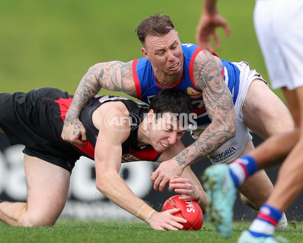 VFL 2025 Round 18 - Essendon v Footscray Bulldogs - A-60765263