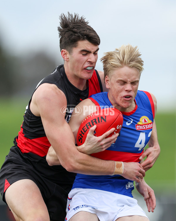 VFL 2025 Round 18 - Essendon v Footscray Bulldogs - A-60767891
