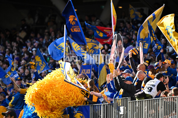 AFL 2025 Round 20 - Fremantle v West Coast - A-60767923