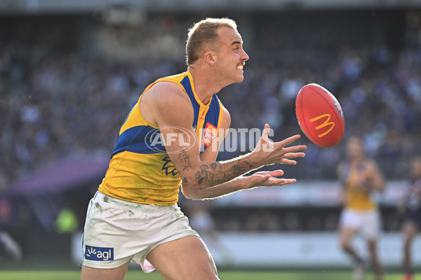 AFL 2025 Round 20 - Fremantle v West Coast - A-60769822