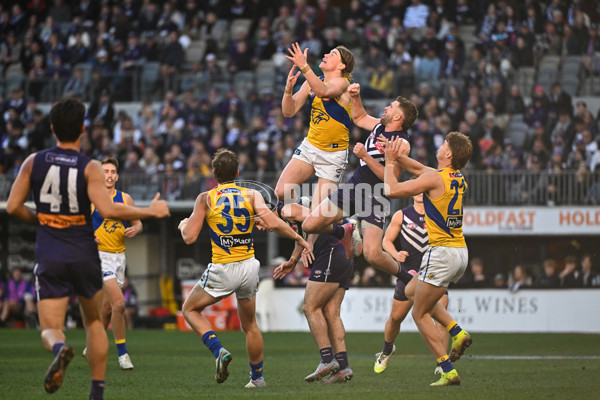 AFL 2025 Round 20 - Fremantle v West Coast - A-60772947