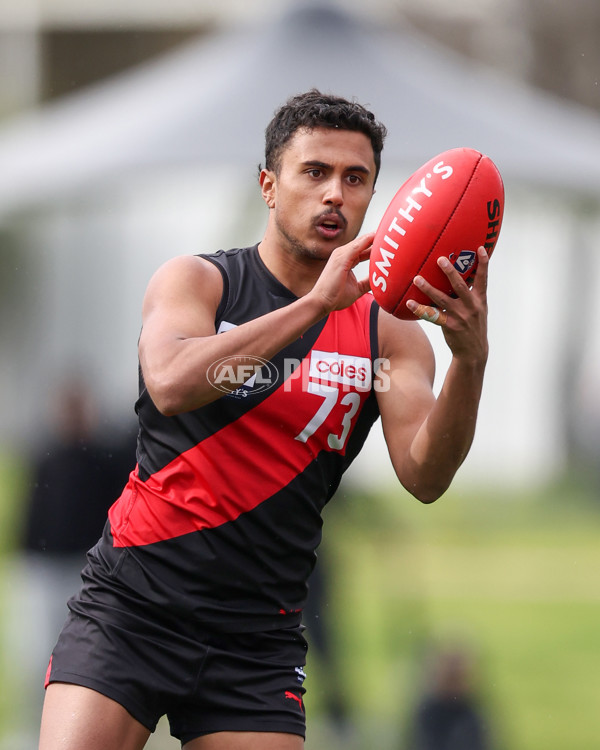 VFL 2025 Round 18 - Essendon v Footscray Bulldogs - A-60772986