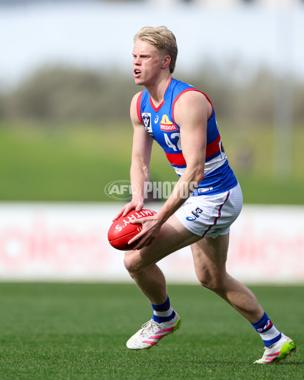 VFL 2025 Round 18 - Essendon v Footscray Bulldogs - A-60772997