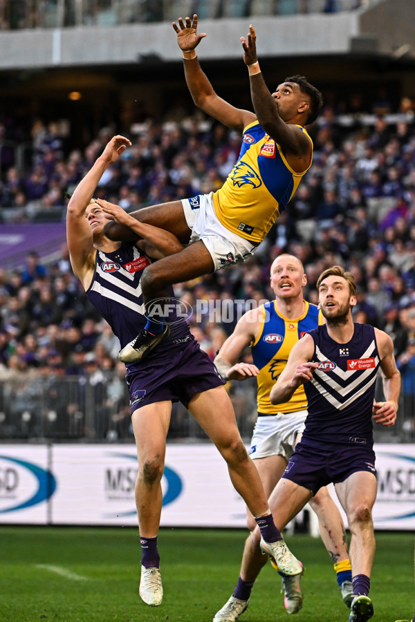 AFL 2025 Round 20 - Fremantle v West Coast - A-60775446