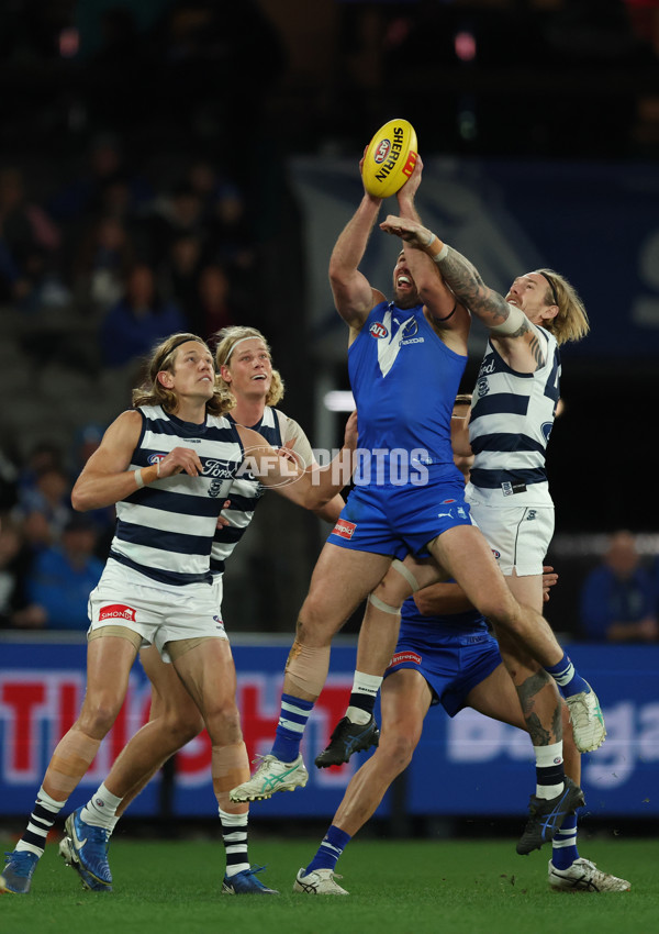 AFL 2025 Round 20 - North Melbourne v Geelong - A-60778046