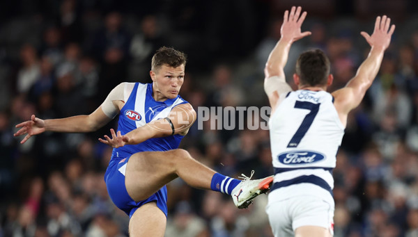 AFL 2025 Round 20 - North Melbourne v Geelong - A-60778134