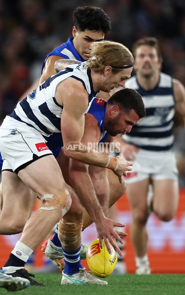 AFL 2025 Round 20 - North Melbourne v Geelong - A-60781104