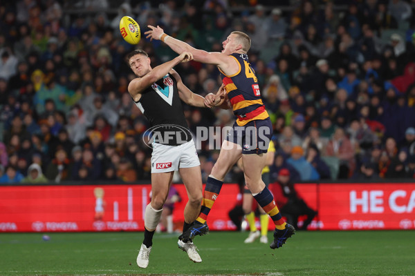 AFL 2025 Round 20 - Adelaide v Port Adelaide - A-60781125