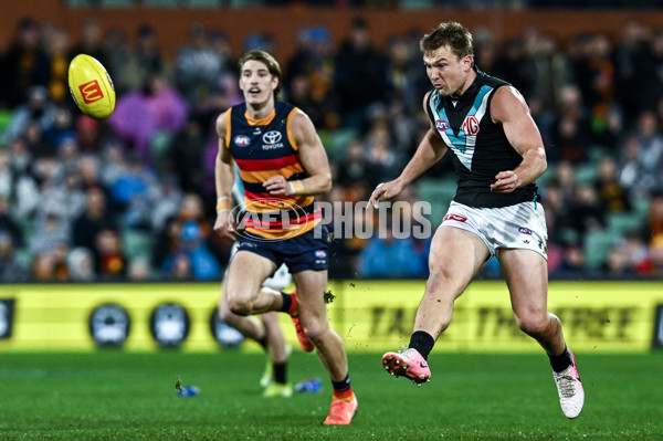 AFL 2025 Round 20 - Adelaide v Port Adelaide - A-60781160