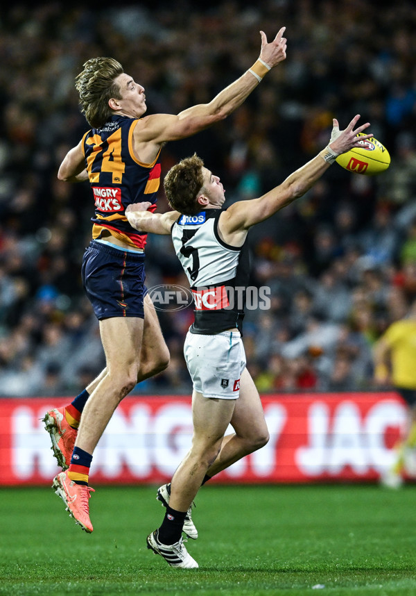 AFL 2025 Round 20 - Adelaide v Port Adelaide - A-60783032