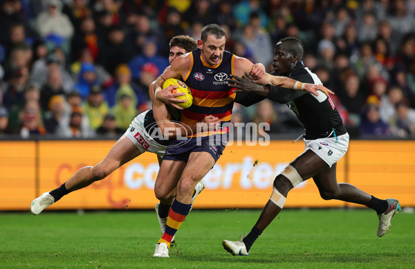 AFL 2025 Round 20 - Adelaide v Port Adelaide - A-60783039