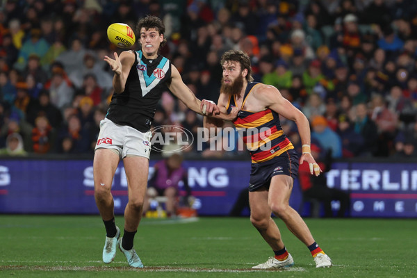 AFL 2025 Round 20 - Adelaide v Port Adelaide - A-60783041