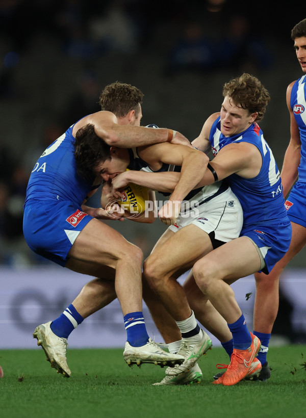 AFL 2025 Round 20 - North Melbourne v Geelong - A-60783055