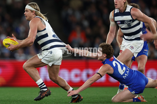 AFL 2025 Round 20 - North Melbourne v Geelong - A-60783094