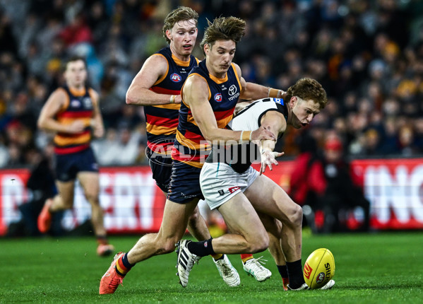 AFL 2025 Round 20 - Adelaide v Port Adelaide - A-60783727