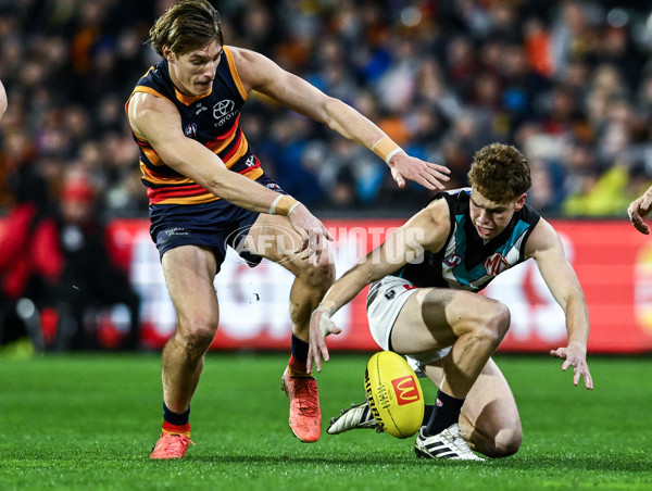 AFL 2025 Round 20 - Adelaide v Port Adelaide - A-60783731