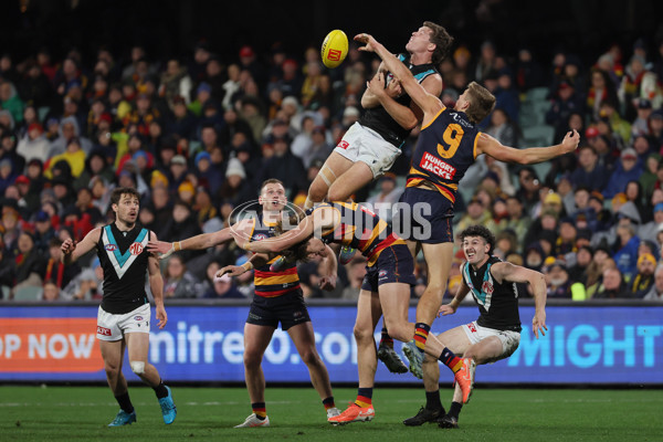 AFL 2025 Round 20 - Adelaide v Port Adelaide - A-60783777