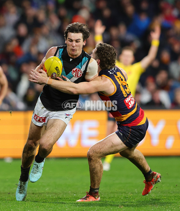 AFL 2025 Round 20 - Adelaide v Port Adelaide - A-60783778