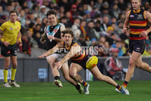 AFL 2025 Round 20 - Adelaide v Port Adelaide - A-60783779