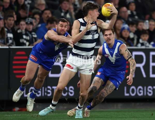 AFL 2025 Round 20 - North Melbourne v Geelong - A-60783818