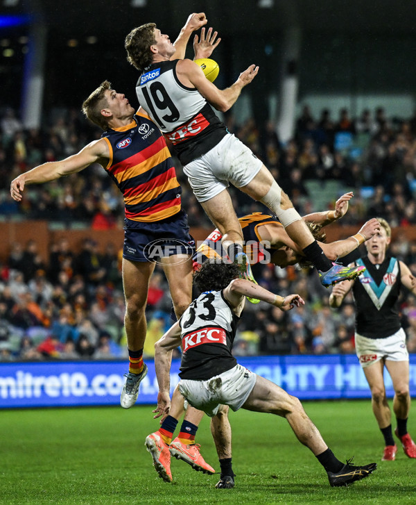 AFL 2025 Round 20 - Adelaide v Port Adelaide - A-60785766