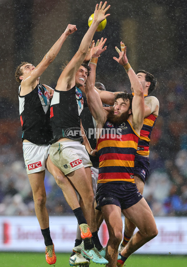 AFL 2025 Round 20 - Adelaide v Port Adelaide - A-60785774