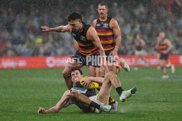 AFL 2025 Round 20 - Adelaide v Port Adelaide - A-60785779