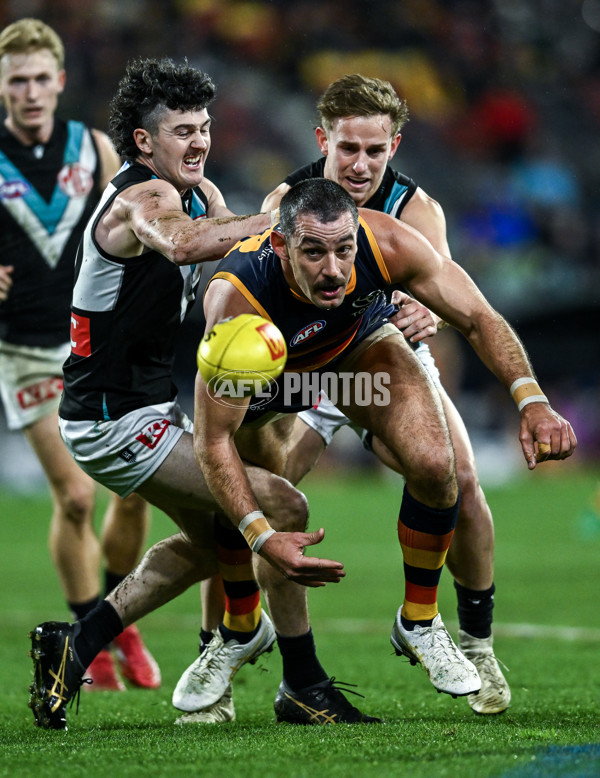 AFL 2025 Round 20 - Adelaide v Port Adelaide - A-60785780