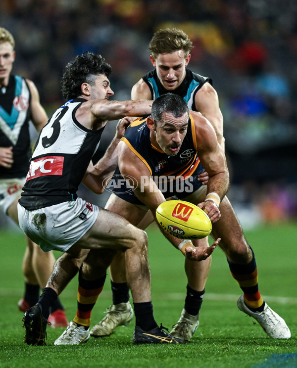 AFL 2025 Round 20 - Adelaide v Port Adelaide - A-60785782