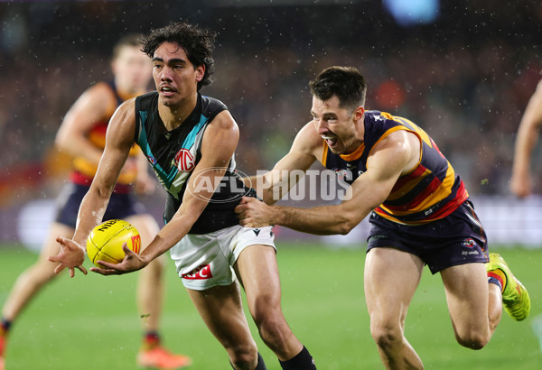 AFL 2025 Round 20 - Adelaide v Port Adelaide - A-60785790