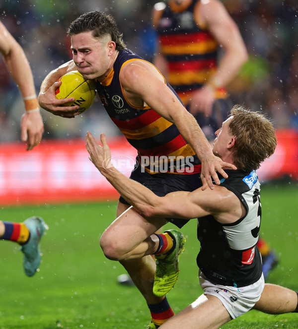 AFL 2025 Round 20 - Adelaide v Port Adelaide - A-60785801
