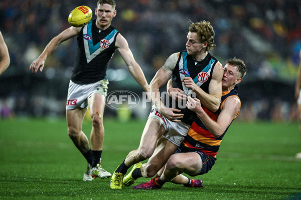 AFL 2025 Round 20 - Adelaide v Port Adelaide - A-60785804
