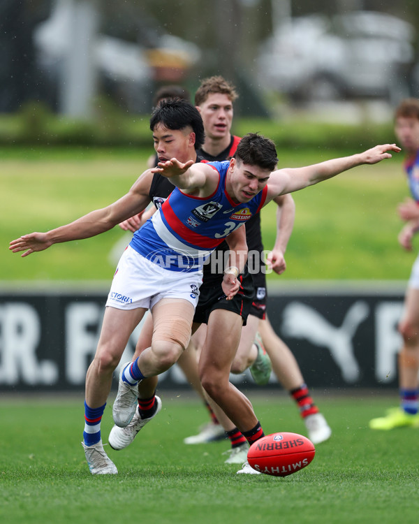 VFL 2025 Round 18 - Essendon v Footscray Bulldogs - A-60785824