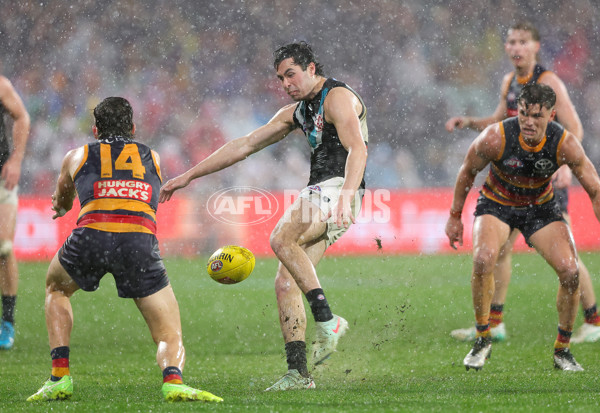 AFL 2025 Round 20 - Adelaide v Port Adelaide - A-60785957