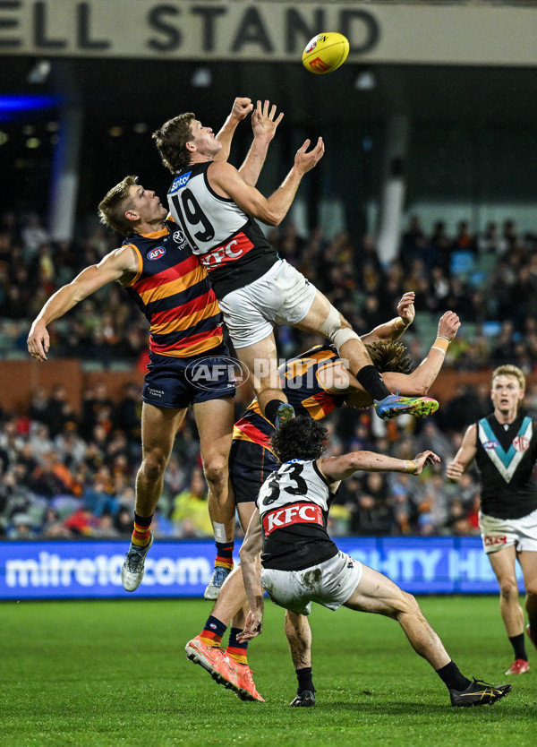 AFL 2025 Round 20 - Adelaide v Port Adelaide - A-60785964