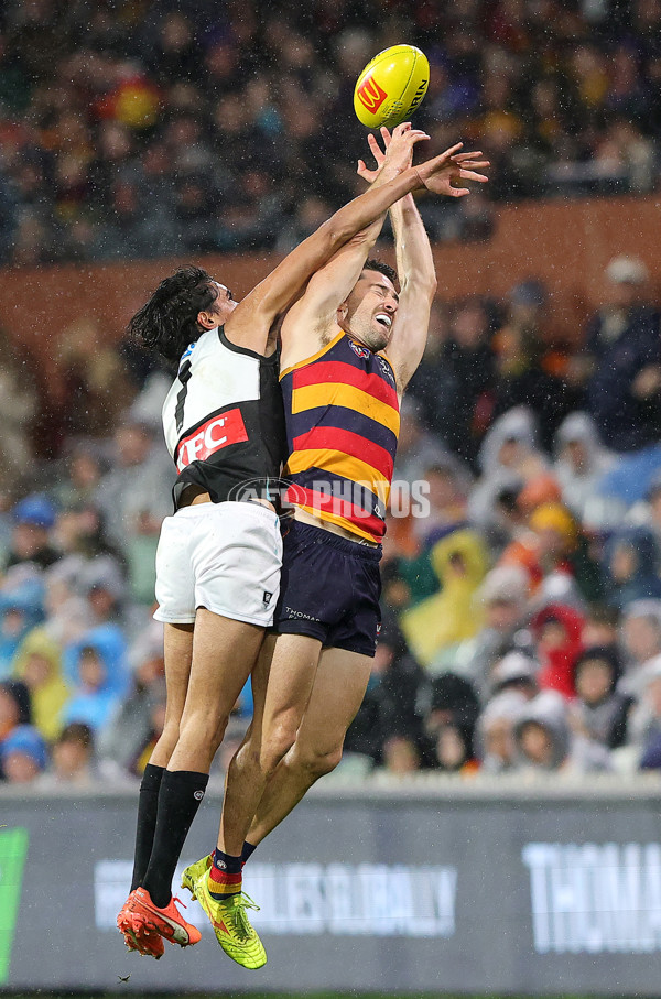 AFL 2025 Round 20 - Adelaide v Port Adelaide - A-60785966
