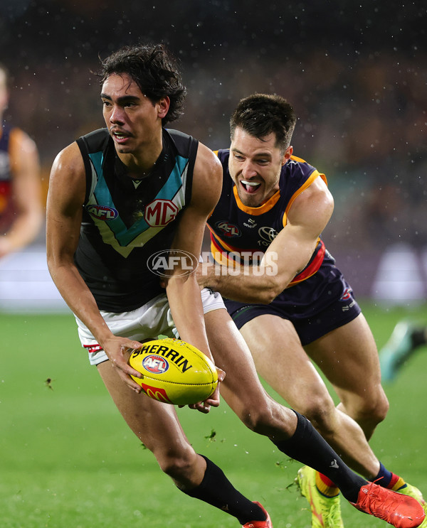 AFL 2025 Round 20 - Adelaide v Port Adelaide - A-60785981