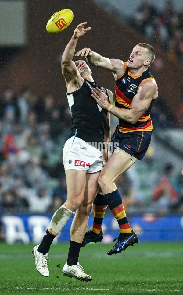 AFL 2025 Round 20 - Adelaide v Port Adelaide - A-60785988