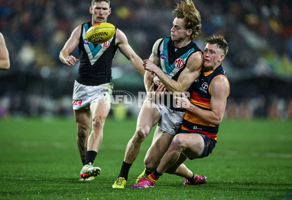 AFL 2025 Round 20 - Adelaide v Port Adelaide - A-60785995