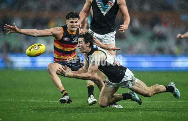 AFL 2025 Round 20 - Adelaide v Port Adelaide - A-60786020