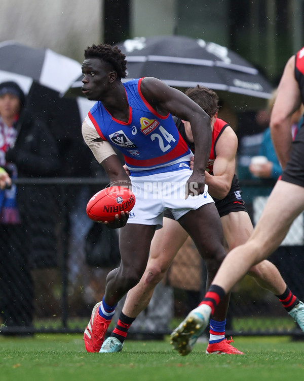 VFL 2025 Round 18 - Essendon v Footscray Bulldogs - A-60786030