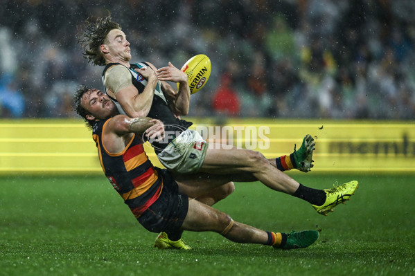 AFL 2025 Round 20 - Adelaide v Port Adelaide - A-60788414