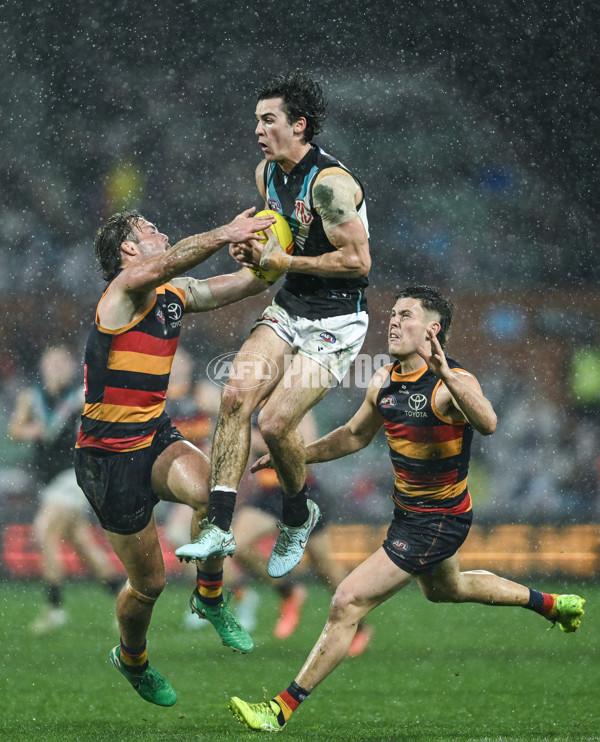 AFL 2025 Round 20 - Adelaide v Port Adelaide - A-60788423