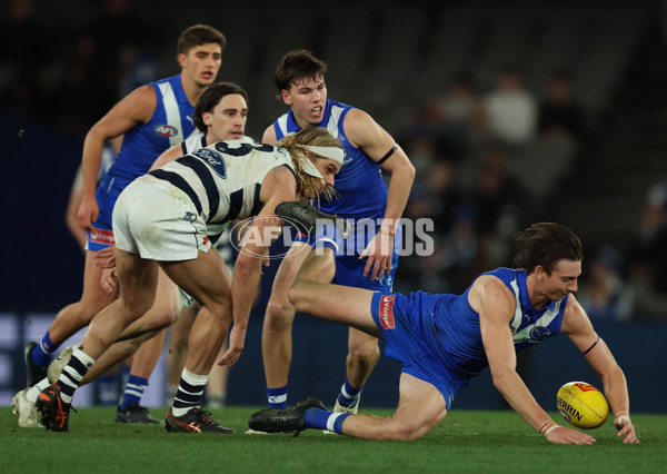 AFL 2025 Round 20 - North Melbourne v Geelong - A-60788439