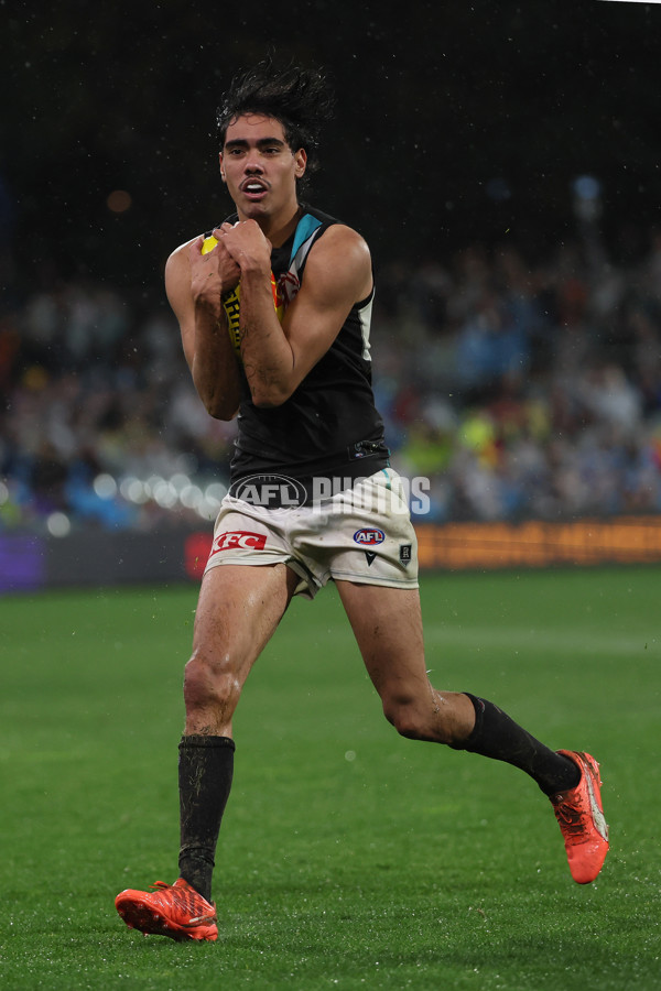 AFL 2025 Round 20 - Adelaide v Port Adelaide - A-60788454