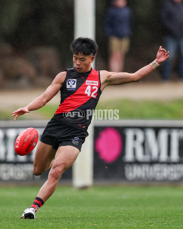 VFL 2025 Round 18 - Essendon v Footscray Bulldogs - A-60788569