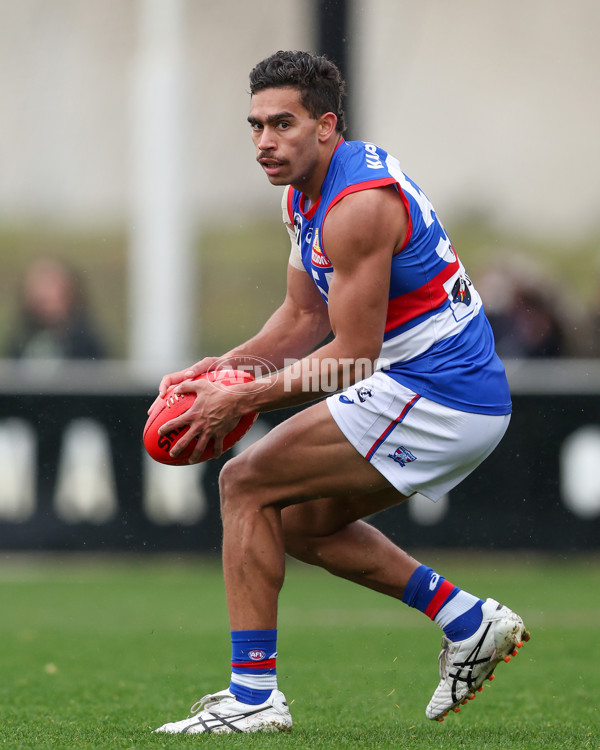 VFL 2025 Round 18 - Essendon v Footscray Bulldogs - A-60788589