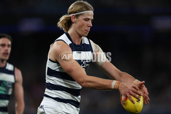 AFL 2025 Round 20 - North Melbourne v Geelong - A-60788620